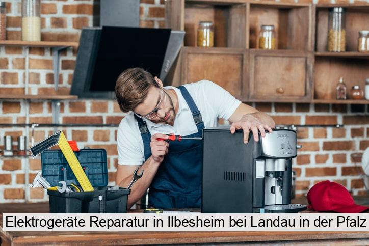 Elektrogeräte Reparatur in Ilbesheim bei Landau in der Pfalz